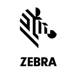 zebra2